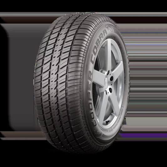 Cooper Cobra Radial G/T All Season P235/60R14 96T Passenger Tire